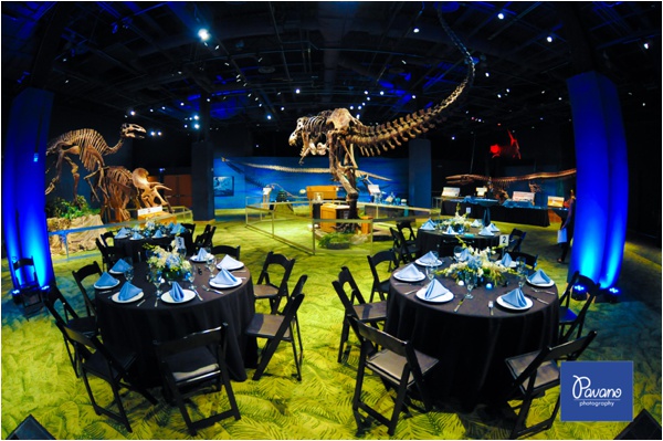 Vendor Of The Week Orlando Science Center Fake Wedding The Notwedding Bridal Show Orlando Science Center